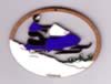 05 Mini Snowmobile.jpg (21kb)